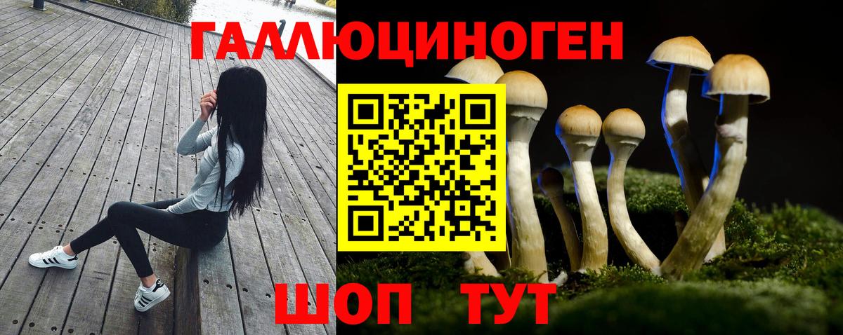 Домодедово  Псилоцибиновые грибы MAGIC MUSHROOMS  Вход с VPN 