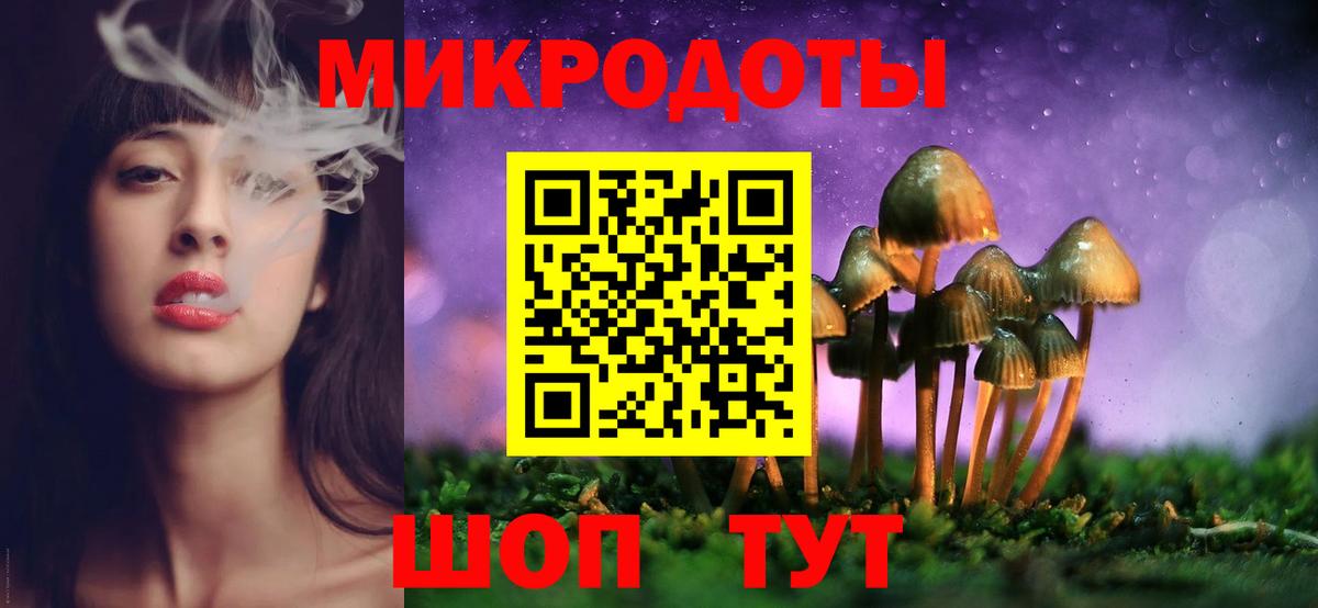 Псилоцибиновые грибы мицелий Домодедово